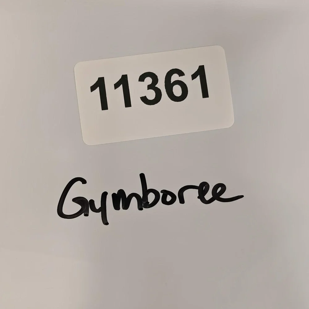 Gymboree dress girls
